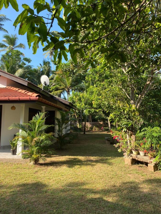 Mango Villa Hikkaduwa Exteriér fotografie
