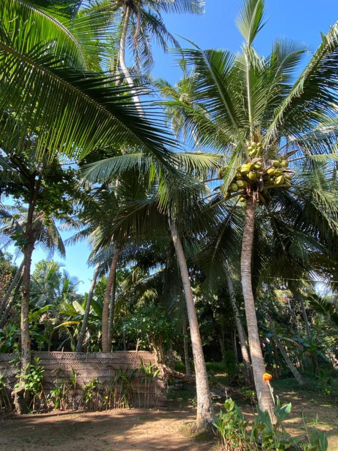 Mango Villa Hikkaduwa Exteriér fotografie